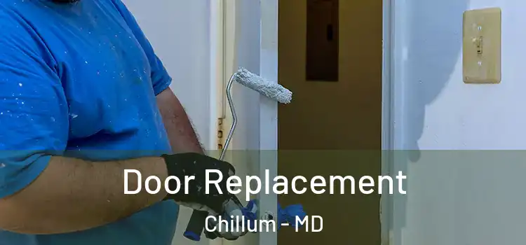 Door Replacement Chillum - MD