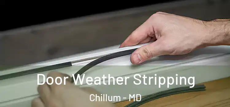Door Weather Stripping Chillum - MD