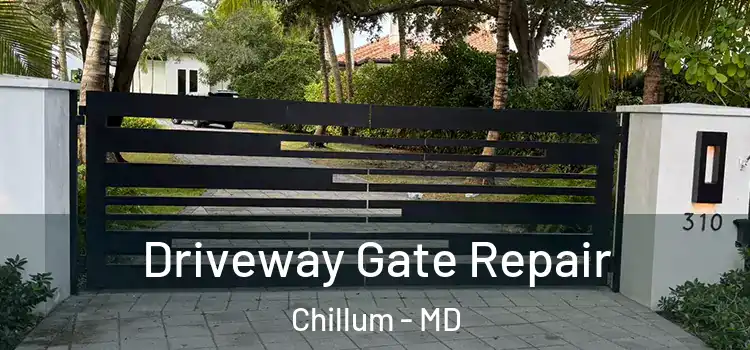 Driveway Gate Repair Chillum - MD