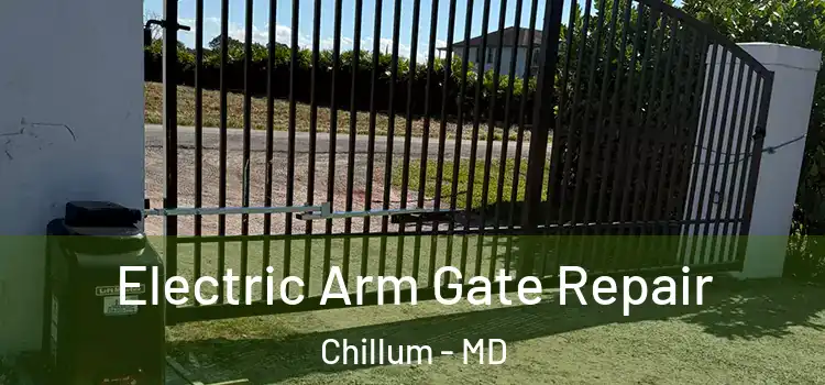Electric Arm Gate Repair Chillum - MD