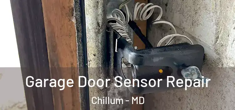 Garage Door Sensor Repair Chillum - MD