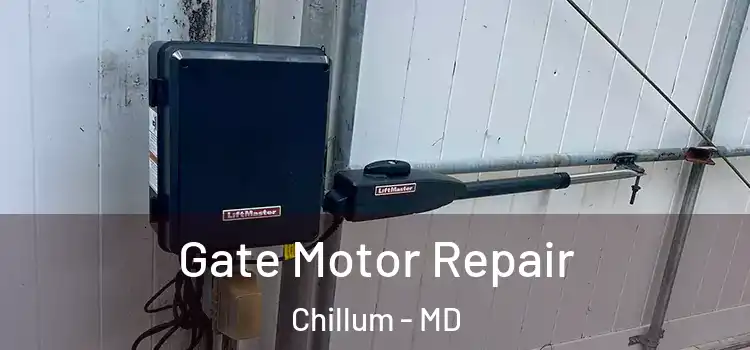 Gate Motor Repair Chillum - MD