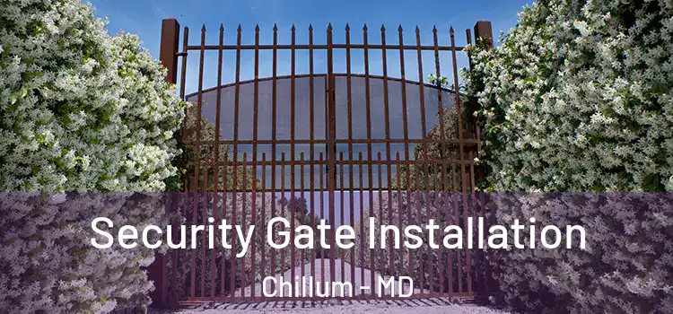 Security Gate Installation Chillum - MD