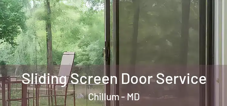 Sliding Screen Door Service Chillum - MD